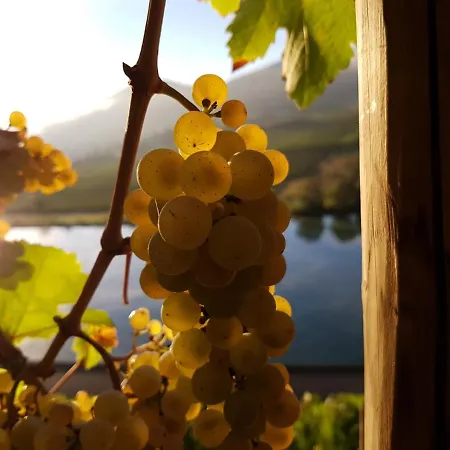 Апартаменты Fritzer Элленц-Польтерсдорф