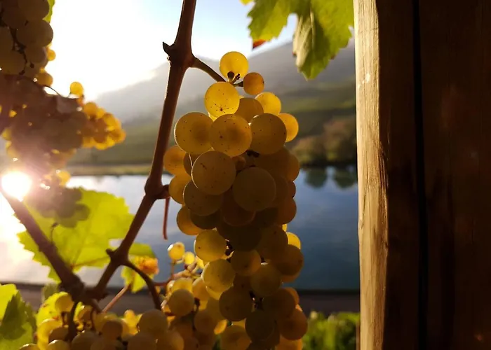 아파트 Fritzer 엘렌츠폴터스도프