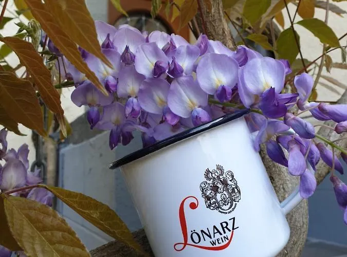 Fritzer * 엘렌츠폴터스도프